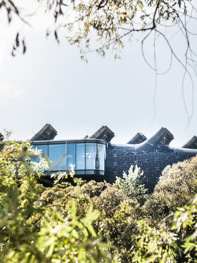 Blick auf das Kunsthaus Graz durch Baumblätter, mit einzigartiger dunkler, knubbeliger Architektur und gläsernem Anbau.